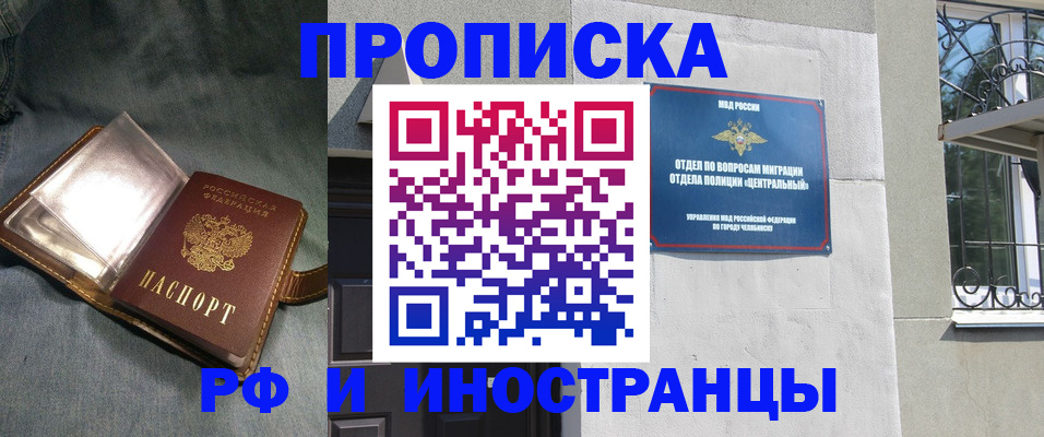 прописка для школы в Кольчугино
